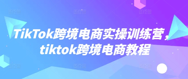 TikTok跨境电商实操训练营，tiktok跨境电商教程-91创业项目库