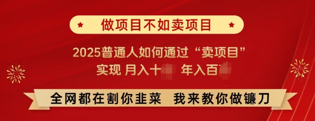 必看，做项目不如卖项目，2025普通人如何通过“卖项目”实现月入十个，年入百个-91创业项目库