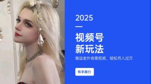 搬运老外奇葩视频，撸视频号分成计划收益，每天只需一小时，新手小白轻松月入过W-91创业项目库