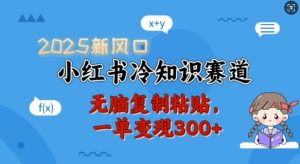 2025新风口,小红书冷知识赛道,无脑复制粘贴,一单变现300+-91创业项目库