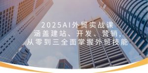 2025AI外贸实战课：涵盖建站、开发、营销, 从零到三全面掌握外贸技能-91创业项目库