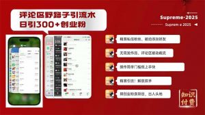 评论区野路子截流创业粉新方法，日被动加300+创业粉，精准引流被动添加...-91创业项目库