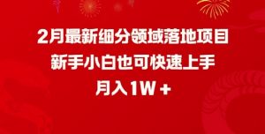 2月最新细分领域落地项目，新手小白也可快速上手，月入1W-91创业项目库
