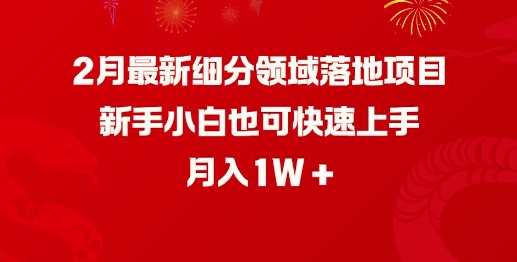 2月最新细分领域落地项目，新手小白也可快速上手，月入1W-91创业项目库