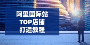 阿里国际站TOP店铺打造教程：涵盖平台到高阶，解决运营难题，提升询盘-91创业项目库