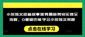 小说推文短篇故事混剪最新剪辑实操全流程，0基础也能学会小说推文教程，肯干多发日入多张-91创业项目库