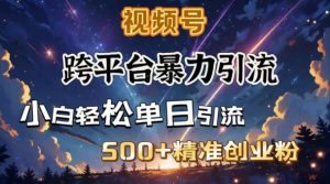 跨平台暴力引流，私域完美闭环，日引500+精准创业粉-91创业项目库