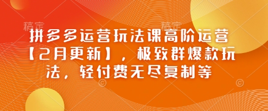 拼多多运营玩法课高阶运营【2月更新】，极致群爆款玩法，轻付费无尽复制等-91创业项目库