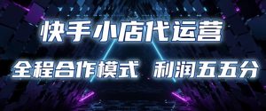 快手小店代运营 限时托管计划 合作模式 利润五五分成【揭秘】-91创业项目库