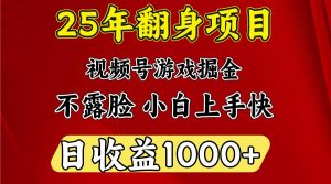 一天收益1000+ 25年开年落地好项目-91创业项目库