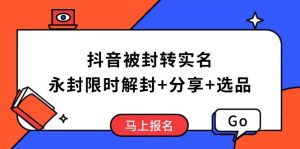 抖音被封转实名攻略，永久封禁也能限时解封，分享解封后高效选品技巧-91创业项目库
