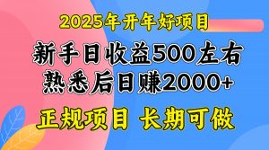 2025开年好项目,单号日收益2000左右-91创业项目库