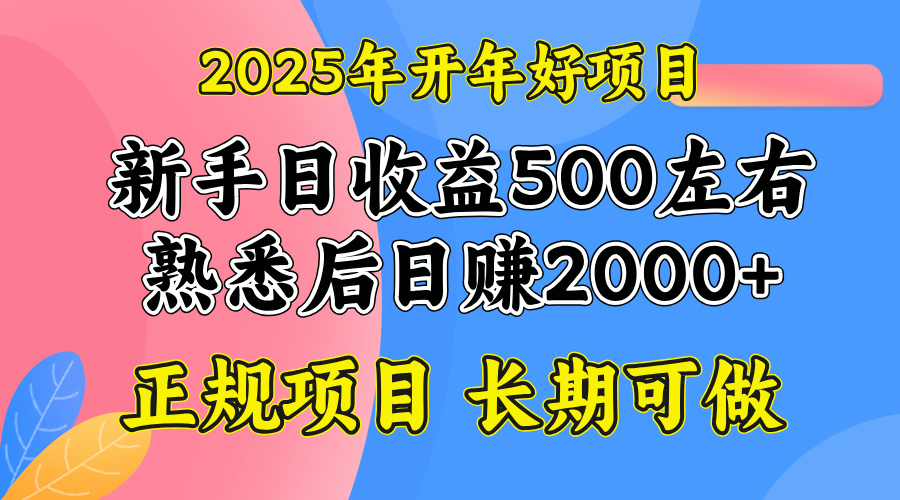 2025开年好项目,单号日收益2000左右-91创业项目库