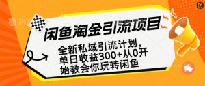 闲鱼淘金私域引流计划，从0开始玩转闲鱼，副业也可以挣到全职的工资-91创业项目库