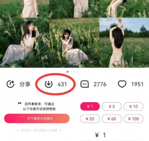 最新图虫搬运项目,收益无上限,利用AI小白也可日赚500+-91创业项目库
