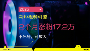 2025AI短视频引流，2个月涨粉17.2万，不死号，可放大-91创业项目库