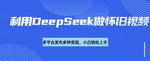 利用DeepSeek做怀旧视频，流量号多渠道变现能力强-91创业项目库