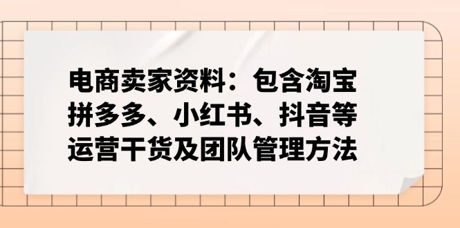 电商卖家资料：包含淘宝、拼多多、小红书、抖音等运营干货及团队管理方法-91创业项目库