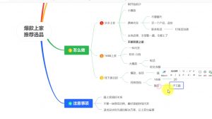 苏博士·淘宝精细化铺货运营陪跑(部分更新至2025)-91创业项目库