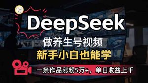 小白用DeepSeek做养生号，一条作品涨粉5万+，单日收益上千-91创业项目库