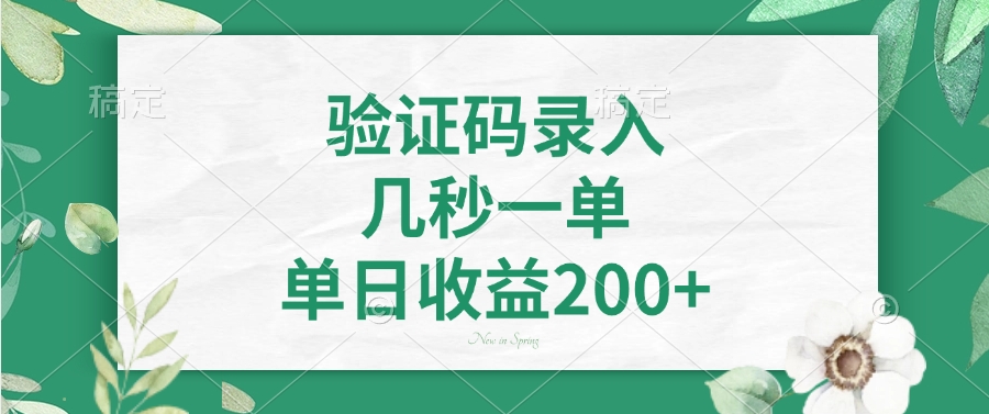 验证码录入，几秒一单，单日收益200+-91创业项目库