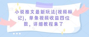 小说推文最新玩法(视频标记)，单条视频收益四位数，详细教程来了-91创业项目库