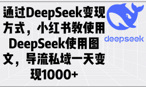 通过DeepSeek变现方式，小红书教使用DeepSeek图文，导流私域一天变现1000+-91创业项目库