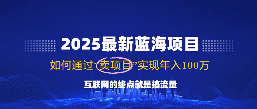 2025最新蓝海项目，零门槛轻松复制，月入10万+，新手也能操作！-91创业项目库