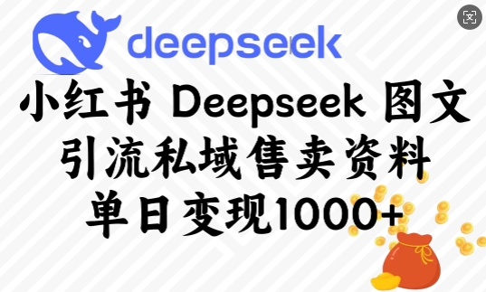 小红书Deepseek图文引流私域售卖资料,单日变现多张-91创业项目库