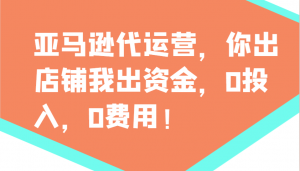 亚马逊代运营，你出店铺我出资金，0投入，0费用，无责任每天300分红，赢亏我承担-91创业项目库