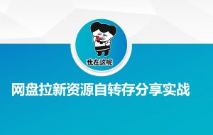 网盘拉新资源自动转存分享实战-91创业项目库