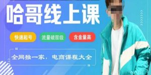 电商线上课程2025年，快速起号，流量破层级，这套方法起号率99%-91创业项目库