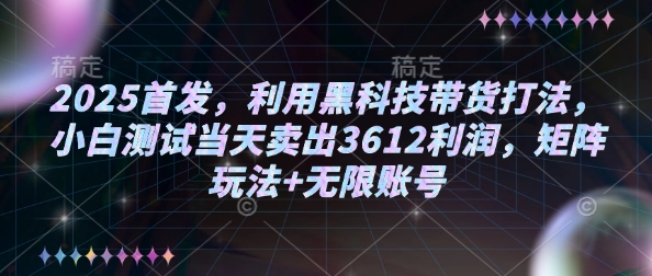 2025首发，利用黑科技带货打法，小白测试当天卖出3612利润，矩阵玩法+无限账号【揭秘】-91创业项目库