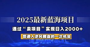 2025年蓝海项目，如何通过“网创项目”日入2000+-91创业项目库