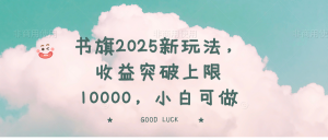 书旗2025新玩法，收益突破上限10000，小白可做-91创业项目库
