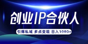 云帆·创业ip合伙人打造3.0，从0到1教你做网创，实现月入过W-91创业项目库