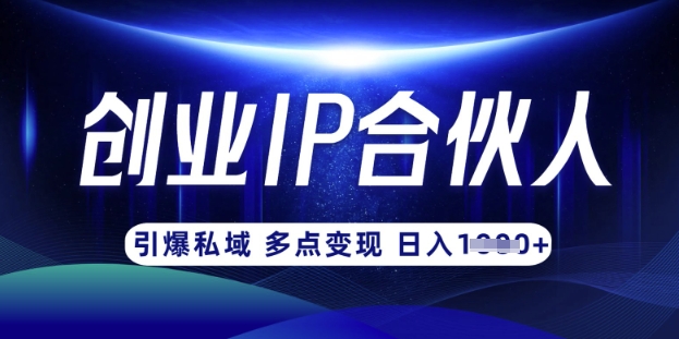 云帆·创业ip合伙人打造3.0，从0到1教你做网创，实现月入过W-91创业项目库