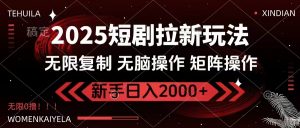 2025短剧拉新玩法，无需注册登录，无限0撸，无脑批量操作日入2000+-91创业项目库