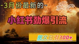 小红书超劲爆引流手段，图文日引300+轻松变现1W-91创业项目库
