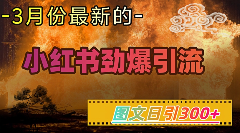 小红书超劲爆引流手段,图文日引300+轻松变现1W-91创业项目库