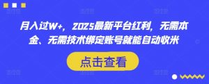 月入过W+，2025最新平台红利，无需本金、无需技术绑定账号就能自动收米-91创业项目库