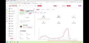 2025小红书虚拟电商实战课-91创业项目库