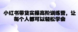 小红书带货实操高阶训练营，让每个人都可以轻松学会-91创业项目库