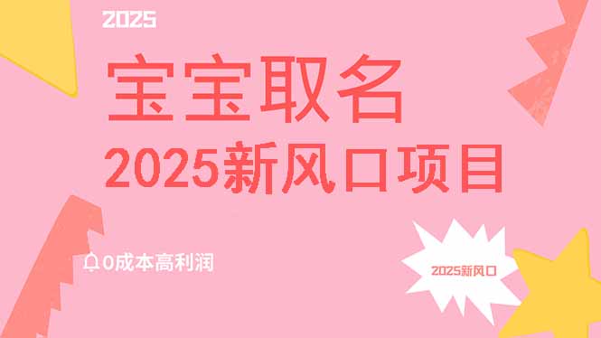 2025新风口项目宝宝取名，0成本高利润，附保姆级教程，月入过万不是梦-91创业项目库