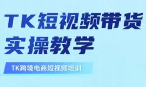 东南亚TikTok短视频带货，TK短视频带货实操教学-91创业项目库