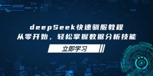 deepSeek快速驯服教程，从零开始，轻松掌握数据分析技能-91创业项目库