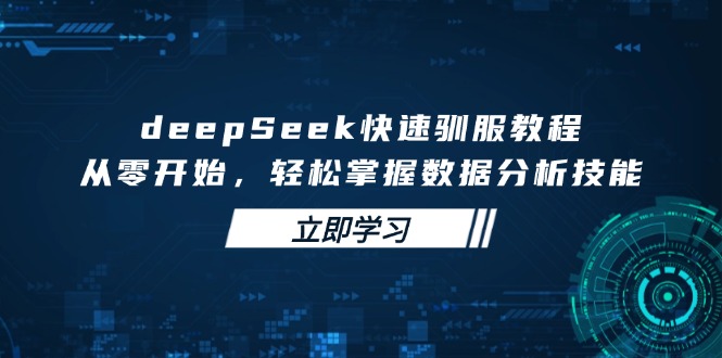 deepSeek快速驯服教程，从零开始，轻松掌握数据分析技能-91创业项目库
