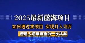 2025蓝海项目，普通人如何通过卖项目，实现月入过W，全过程【揭秘】-91创业项目库