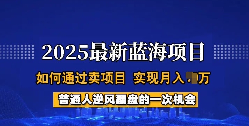2025蓝海项目，普通人如何通过卖项目，实现月入过W，全过程【揭秘】-91创业项目库