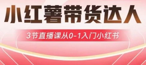 小红薯达人带货启航计划，3节直播课从0-1入门小红书-91创业项目库